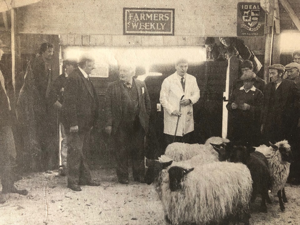 69798818_437970490259606_5541836120670601216_n