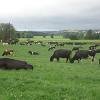 1920033_272913222864143_1230401726_n